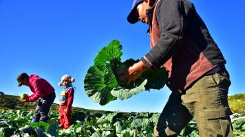 The forum aims to accelerate the transition toward climate-resilient, inclusive, and nature-positive food systems. Photo credit: ADB