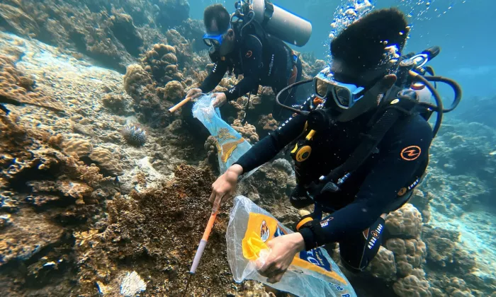 An estimated 85% of tourists in Coron and El Nido engage in snorkeling and diving to explore coral reefs. Photo credit: ADB.