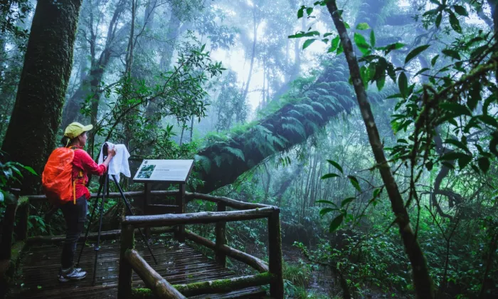     ASEAN has been trying to make tourism more sustainable noting that poorly planned and managed tourism has proven to have negative impacts on the host communities and their environment. Photo credit: iStock/last19.