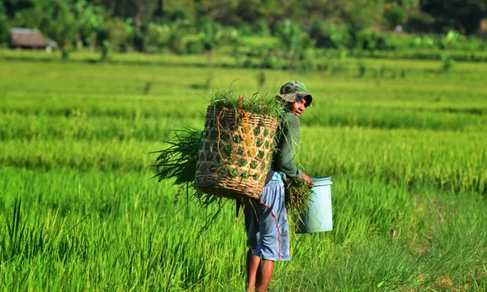 Under the Climate Change Action Program, ADB is supporting the Philippines to enhance the enabling framework for mobilizing public and private climate finance in its priority sectors.  Photo credit: ADB.