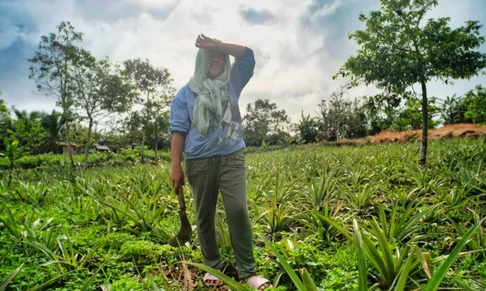 In 2023, the warmest year on record, heatwaves, floods, droughts, wildfires and tropical cyclones intensified across the world, with devastating effects on Southeast Asia and other climate-vulnerable regions. Photo credit: ADB.