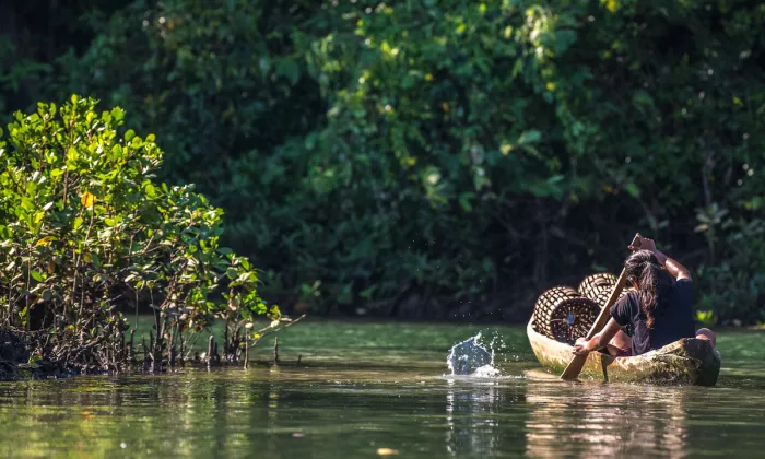 The PENCAS Act is a landmark legislation that institutionalizes the systematic measurement of stock and flows of natural resources and the contributions they provide to society and economy. Photo credit: ADB.