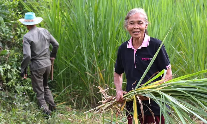 Lao PDR’s agriculture sector holds significant growth potential, spurred by rising domestic and regional demand. Photo credit: ADB.