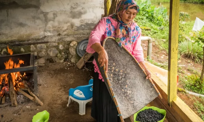 More than 90% of the businesses in BIMP-EAGA are comprised of MSMEs, making them a key growth engine. Photo credit: ADB.