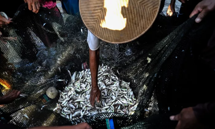 Protecting and restoring coastal and marine ecosystems has become more urgent for billions of people who depend on healthy oceans for their livelihoods, food security, health, and recreation. Photo credit: ADB.