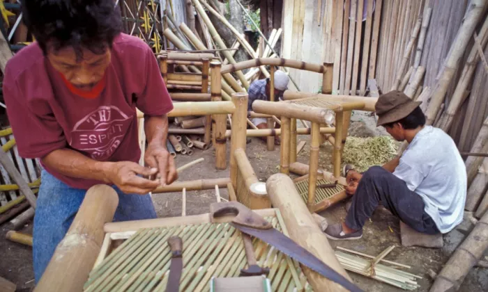 Bamboo has many uses, especially in rural areas where it serves as fuel, housing and furniture material, and even food. Photo credit: ADB.