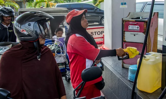For many ASEAN countries, the strongest rationalie for bioenergy is energy security. Photo credit: ADB.