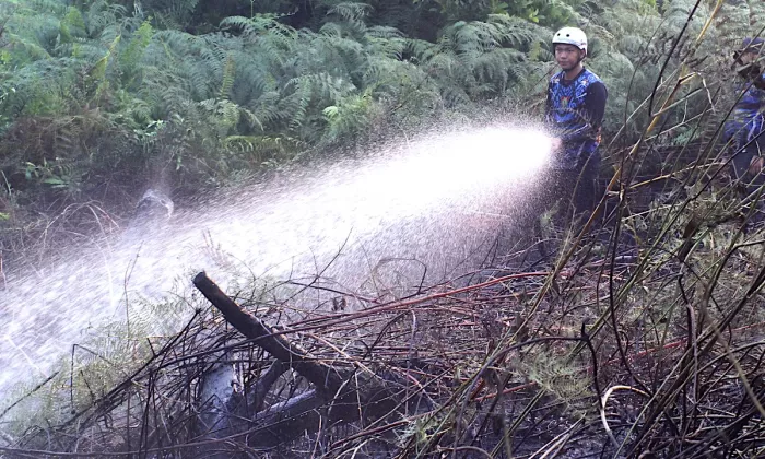 Indonesia is reported to be fighting its worst wildfires in 11 years, with 202,000 hectares gutted between January and July and an additional 600,000 hectares in the succeeding months. Photo credit: iStock/Didindan Bintang.