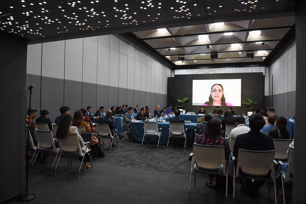 ASEAN Climate Finance Policy Platform meeting in Manila in 2024