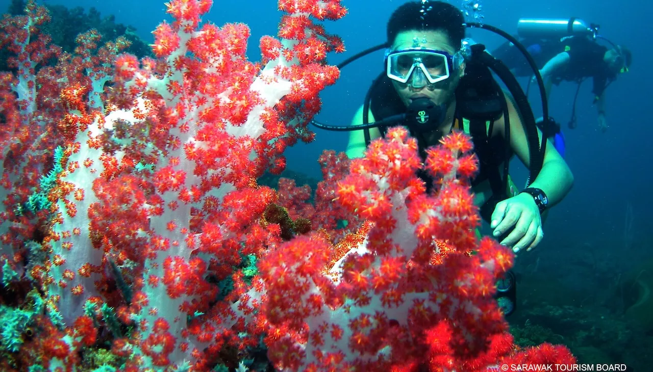 Divers in Sarawak. Photo courtesy of Sarawak Tourism Board.