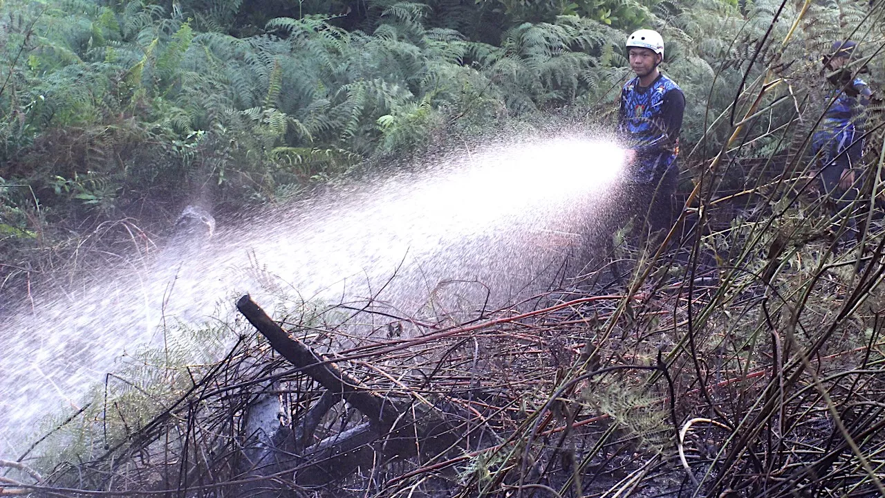 Extinguishing a forest fire. Photo credit: iStock/Didindan Bintang.